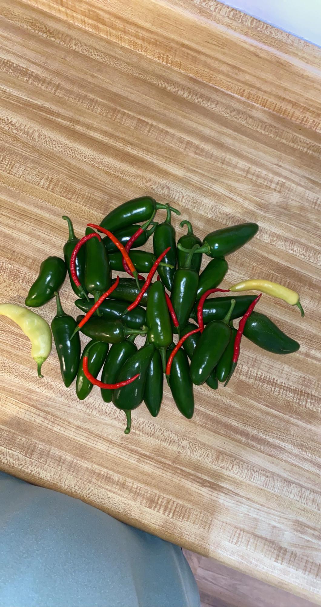 One of the many harvest from our garden