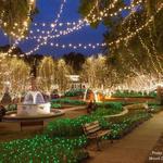 Downtown Mount Dora: Christmas Lights