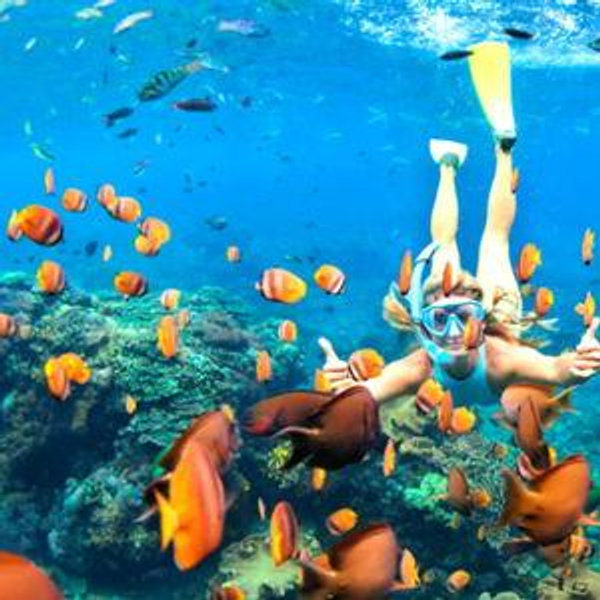 Blue Lagoon Snorkeling Tour