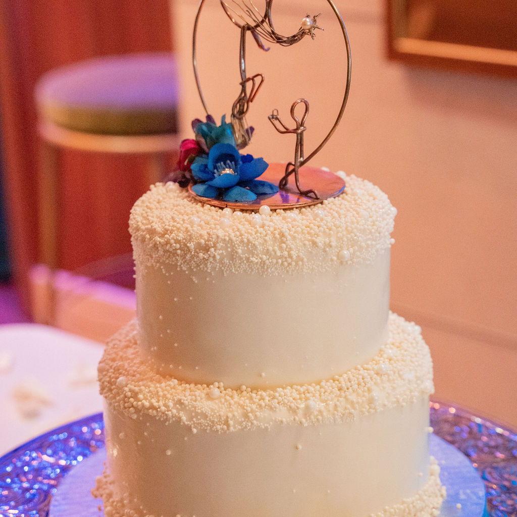 Cake close up - Alyssa's dad handmade the cake topper!