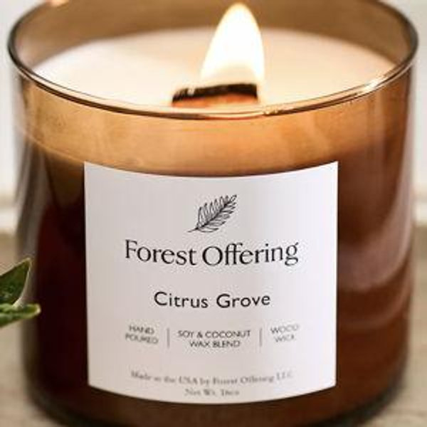Forest Offering Candle, Citrus Grove