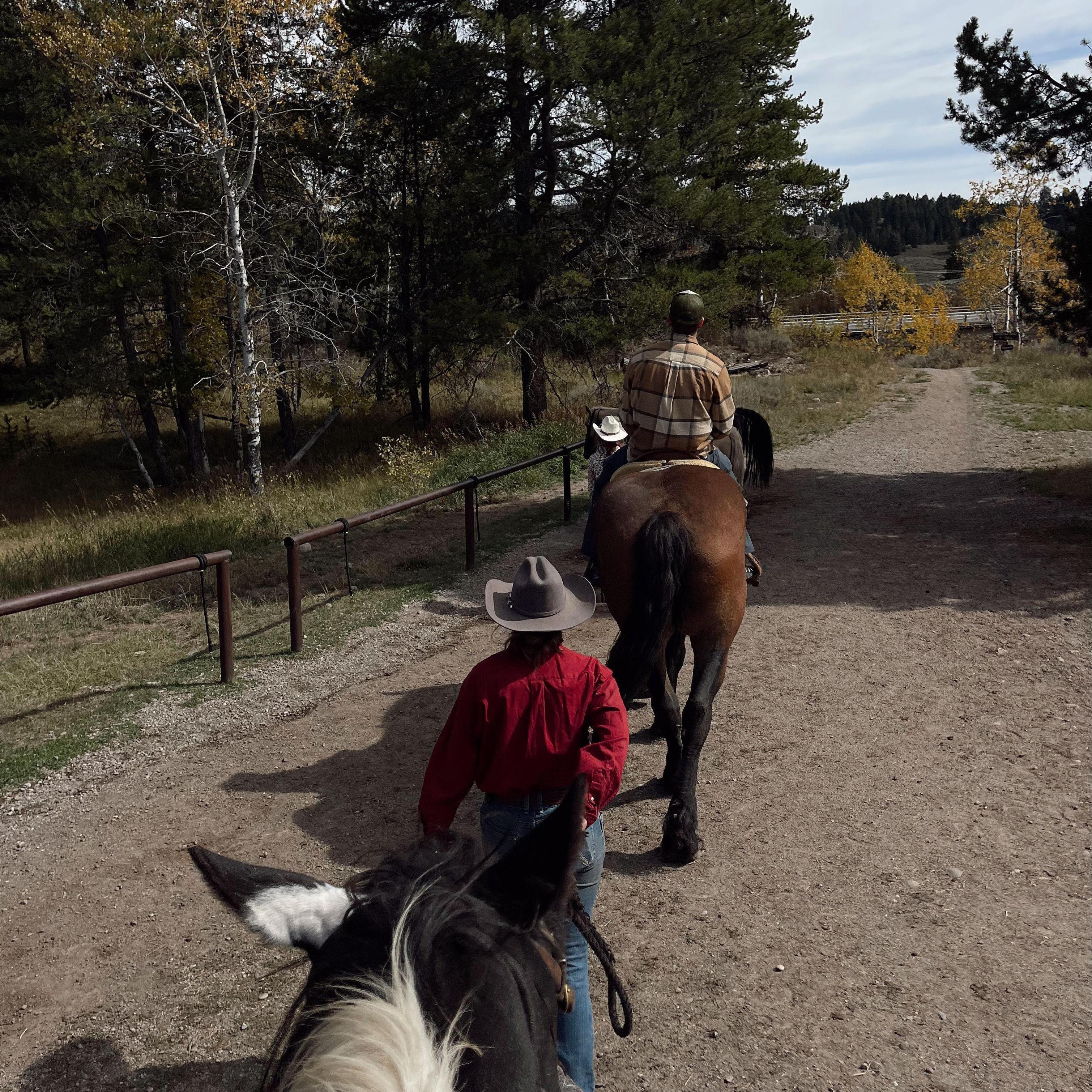 Horseback riding out of Jackson Lake Lodge!