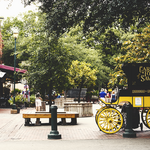 City Market