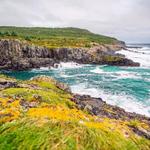 East Coast Trail, Cobbler’s Path, Logy Bay - Middle Cove - Outer Cove