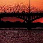 Ann W. Richards Congress Avenue Bridge