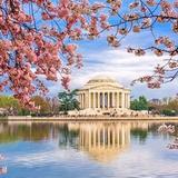 Monuments in DC