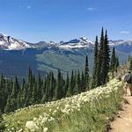 Hiking-Livingston