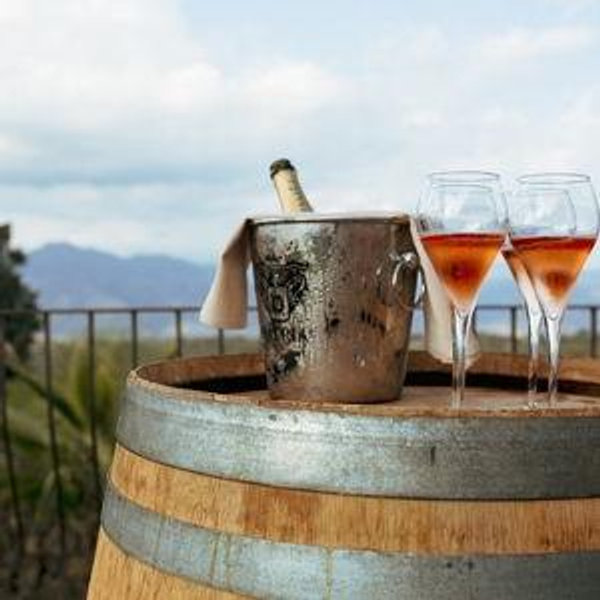 Sicily Winery Tour