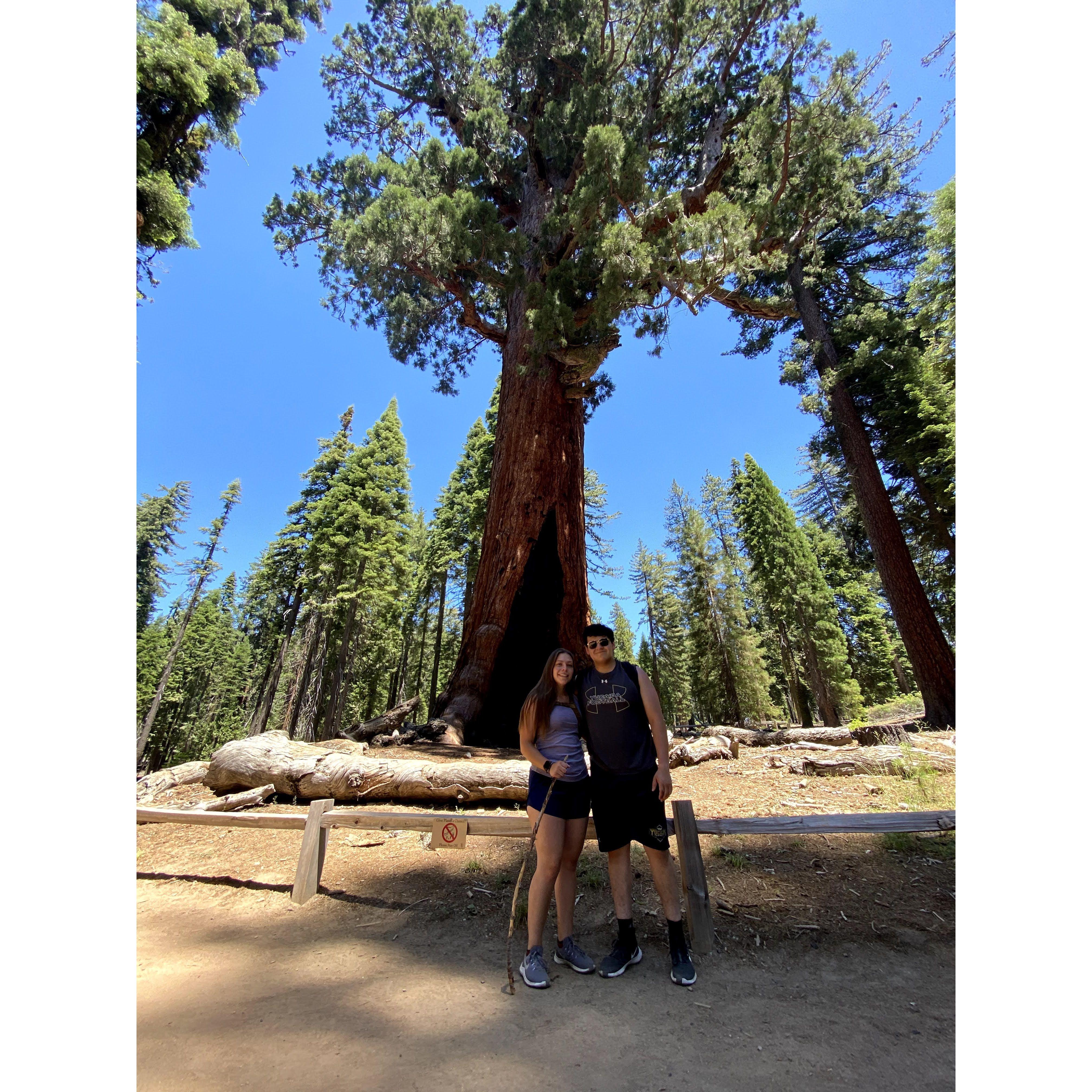 Our first trip to Yosemite National Park during the summer of 2020