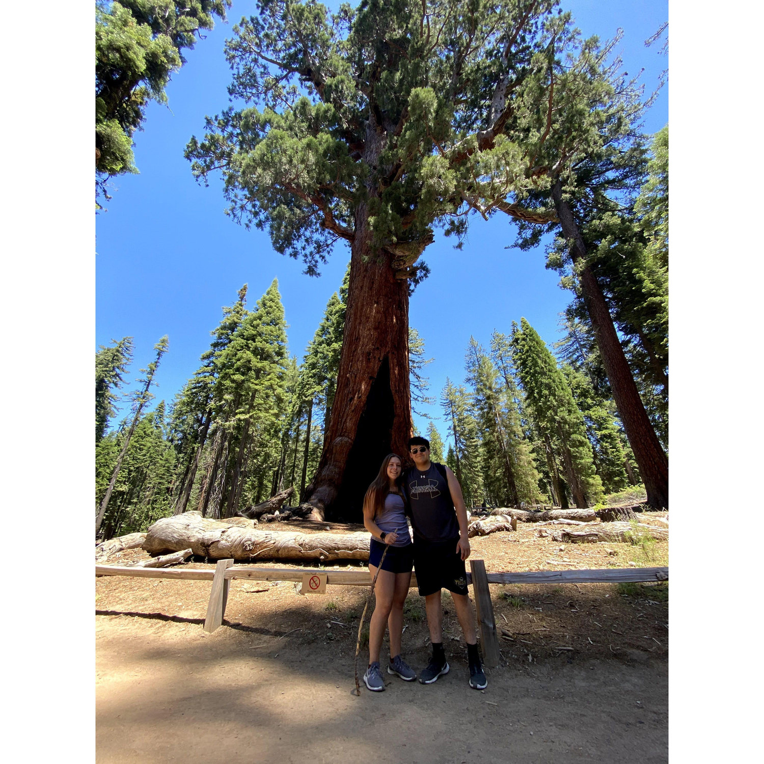 Our first trip to Yosemite National Park during the summer of 2020