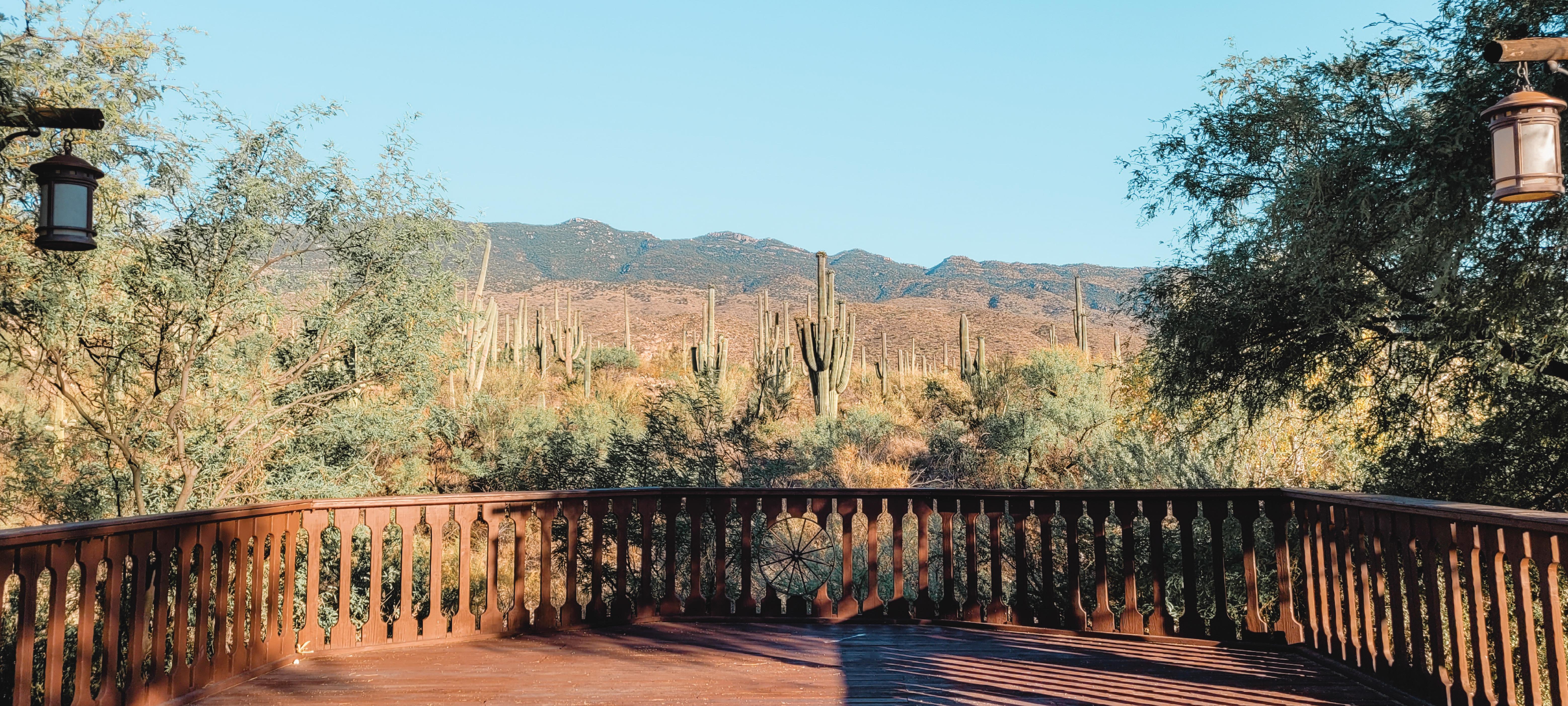 The Wedding Website of Mardelle Mattingly and Jon Keating