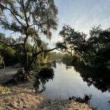 Rye Preserve