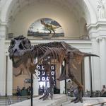 The Field Museum