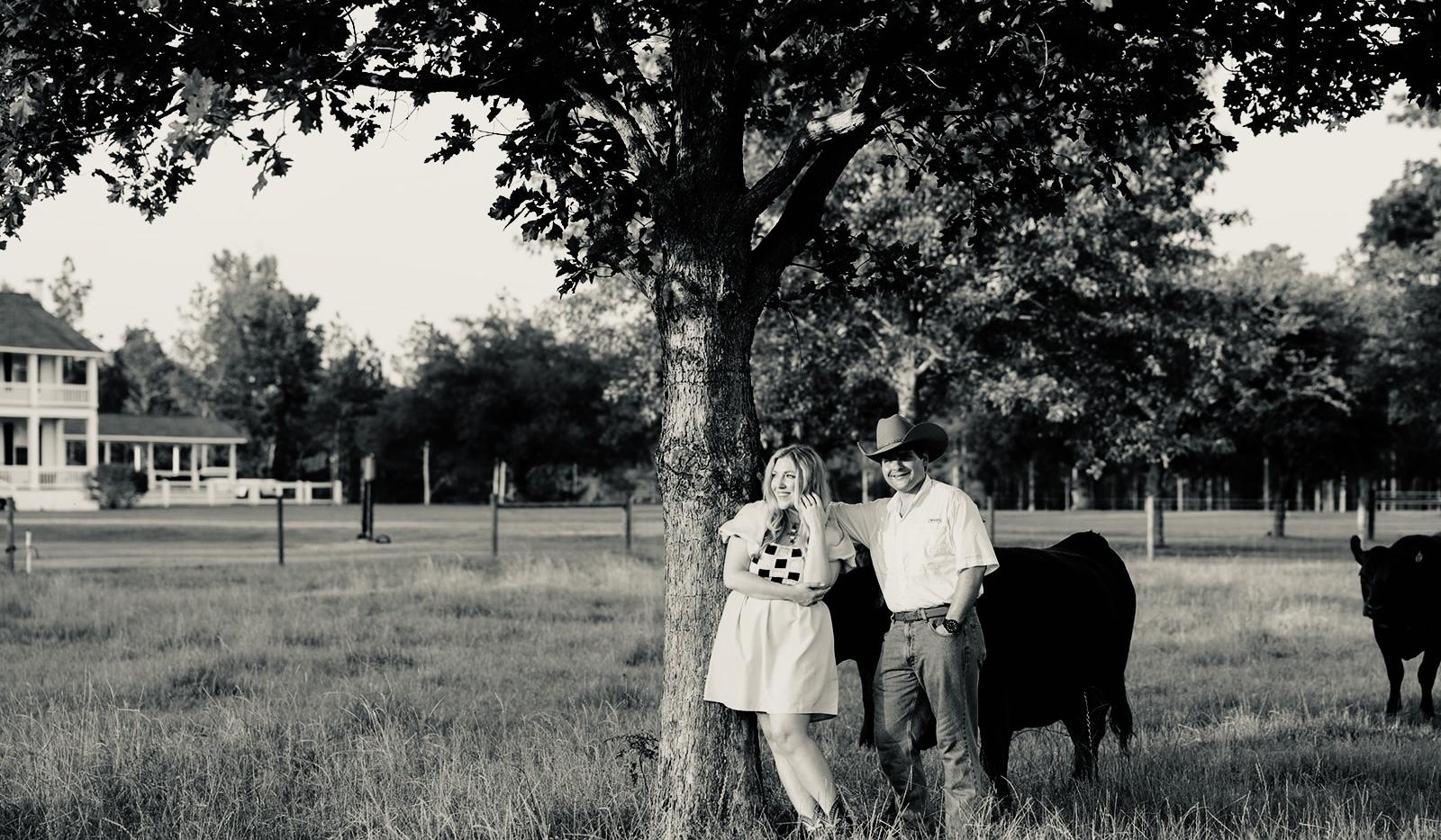 b915a1b1-4875-4a46-b994-02ecfde57648