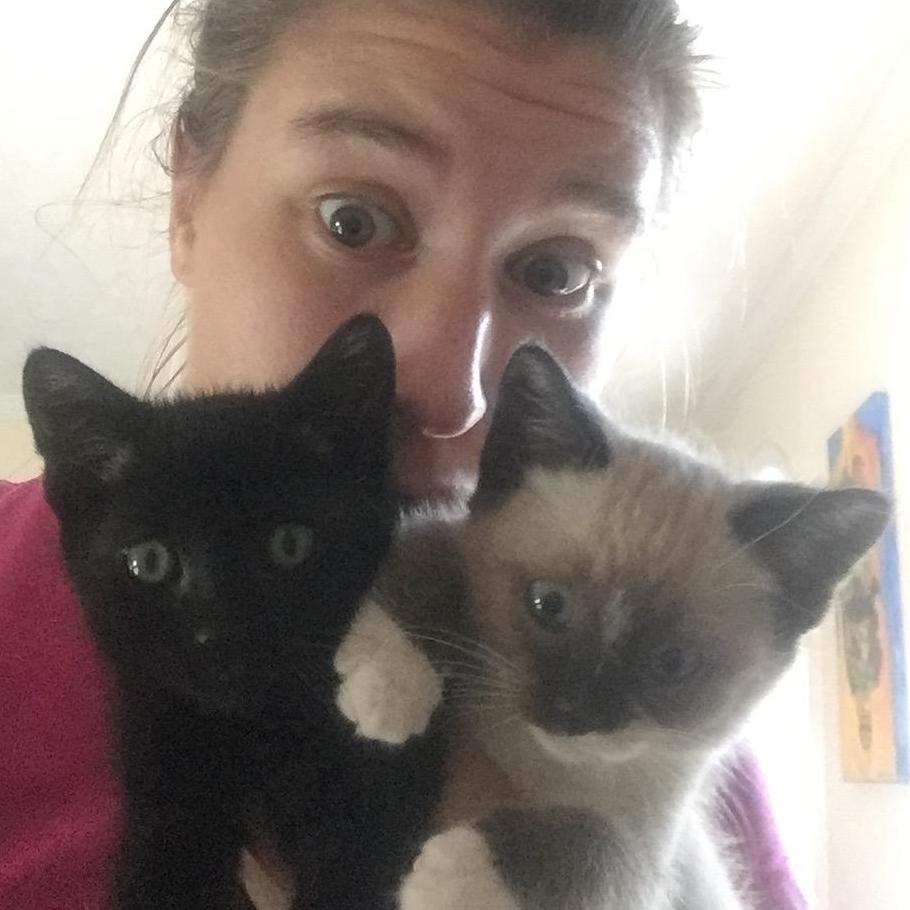 Our kittens - Merlin and Phoebe