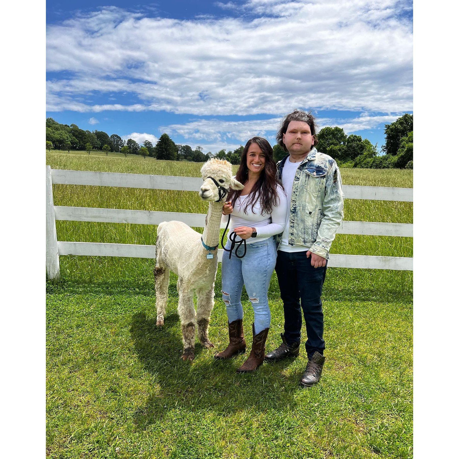 Our first visit to the Alpaca Farm
