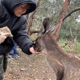 Warrawong Wildlife Sanctuary