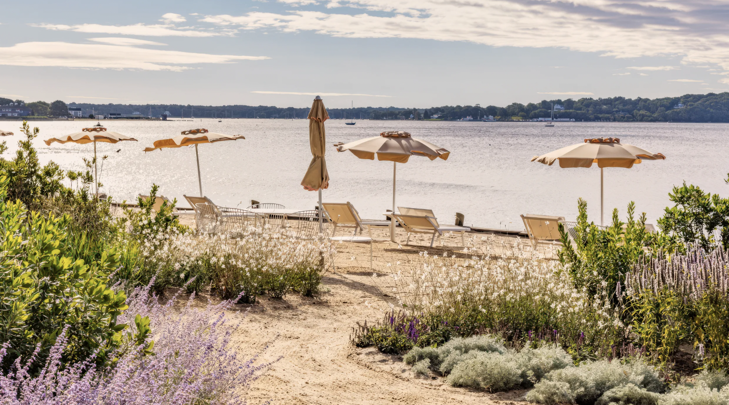 The Wedding Website of Olivia Battles Reap and James Douglas MacArthur