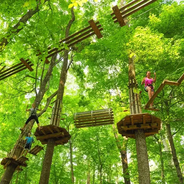 Treetop Adventure