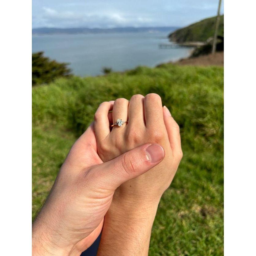 At our engagement picnic near elephant seals!