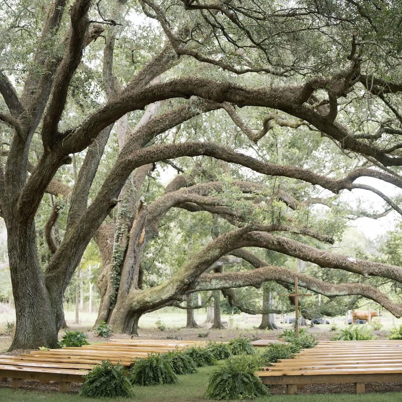 The ceremony location If weather permits. So pray for us!