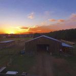 Snider Stables