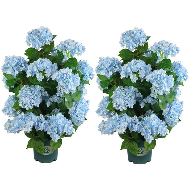 30’’ Artificial Hydrangea Tree with Blue Flowers, Faux Hydrangea Tree in Pot for Indoor & Outdoor Decor, UV Resistant Fake Plant for Home, Porch, or Office Decoration (2, Light Blue)
