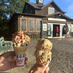 The Mosquito Ice Cream Shop
