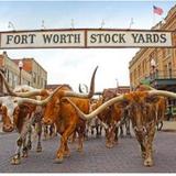 Fort Worth Stockyards