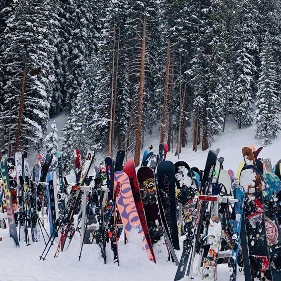 Ski trips with Kate, Viola and crew