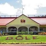 Dole Plantation