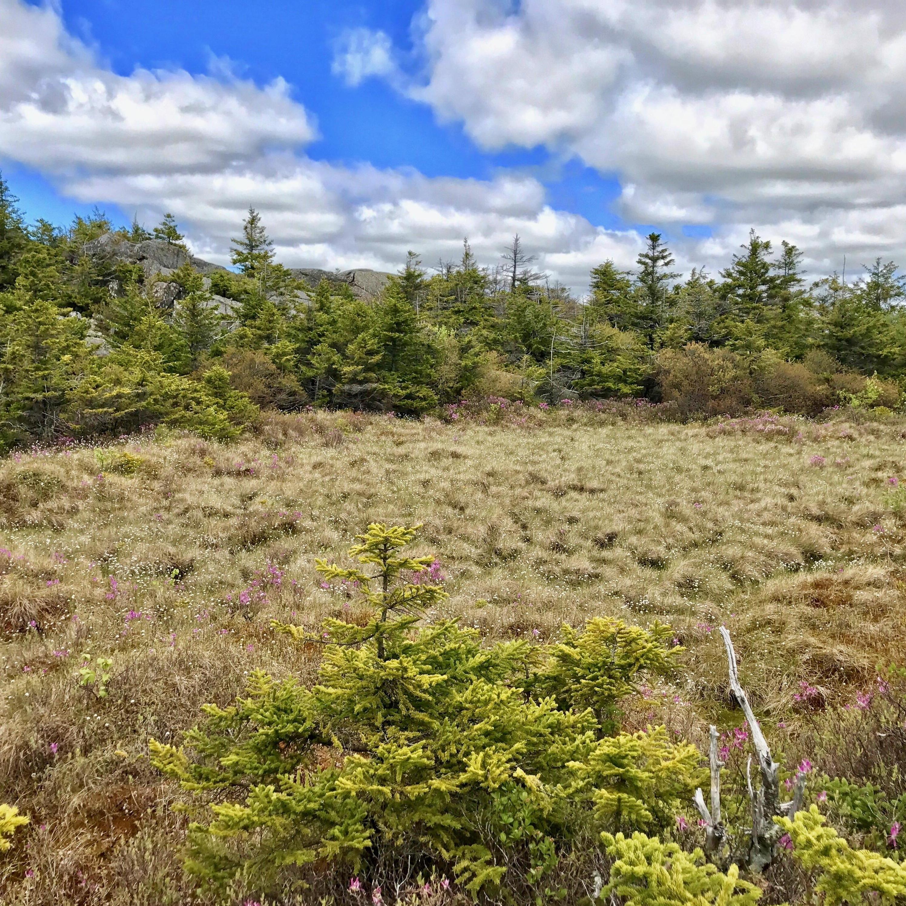 Mt Monadnock, NH