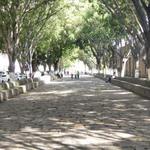 Calzada de Fray Antonio de San Miguel