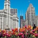 Magnificent Mile