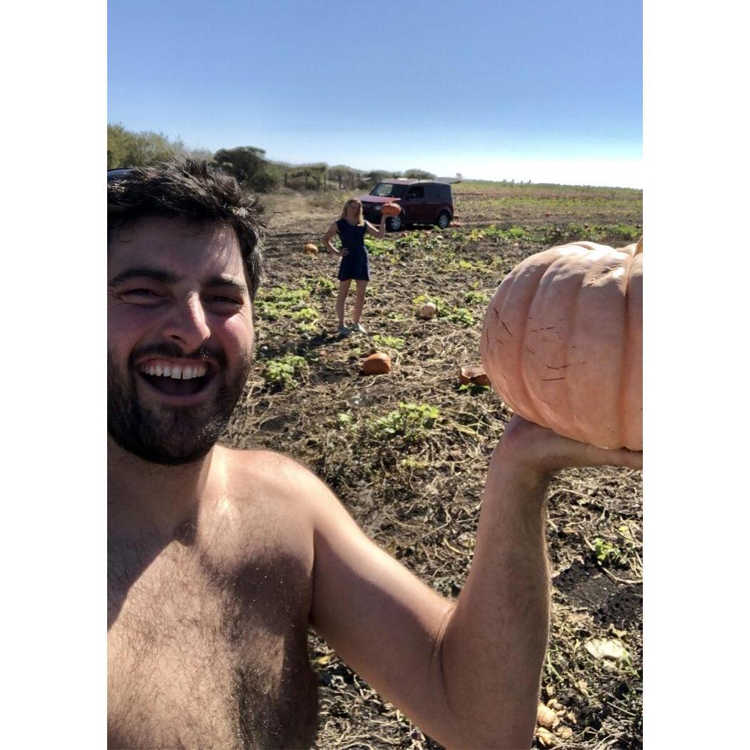 Giusti Farms pumpkin hunting, 2020