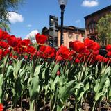 Discover Saratoga