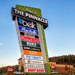 The Pinnacle