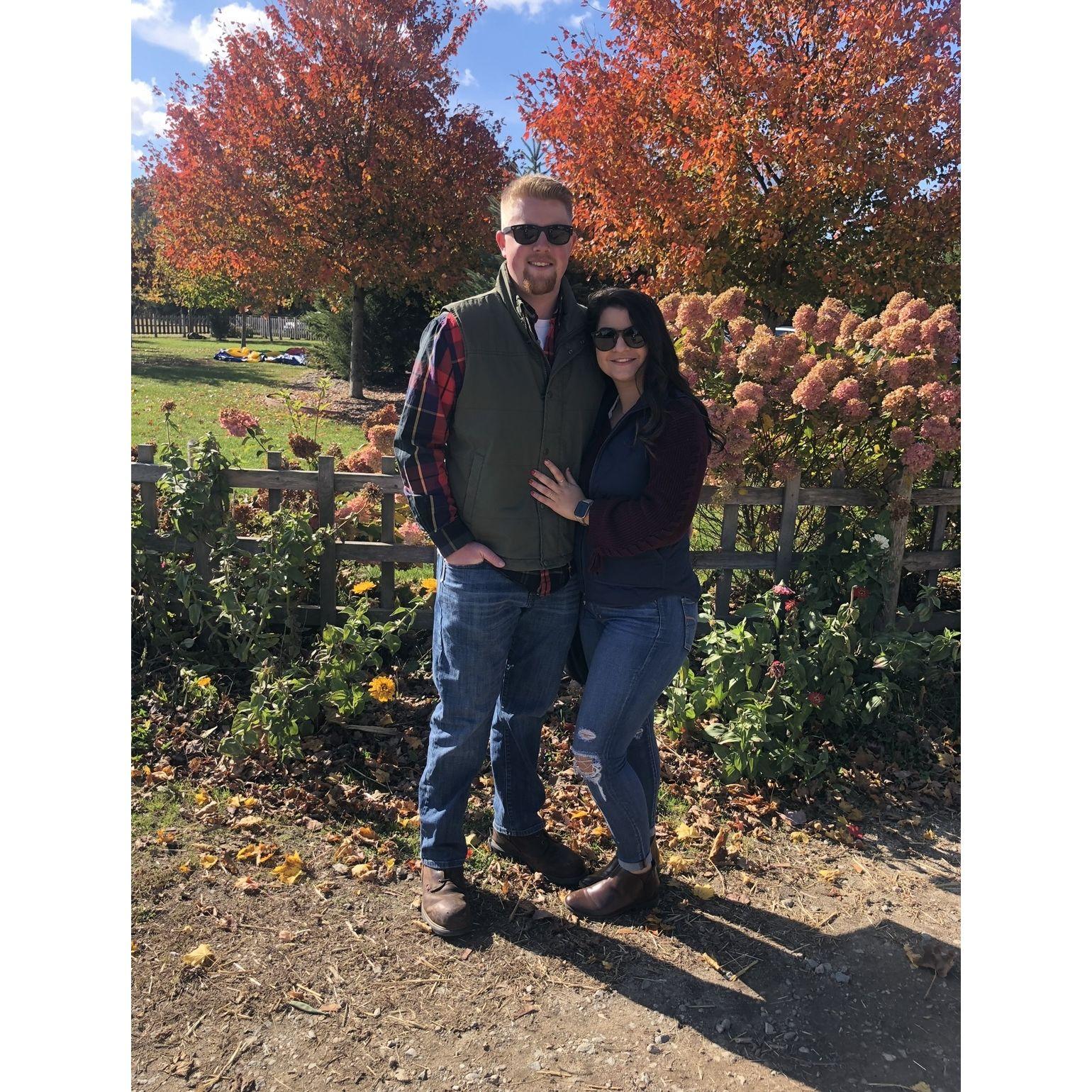 Pumpkin picking- 2019