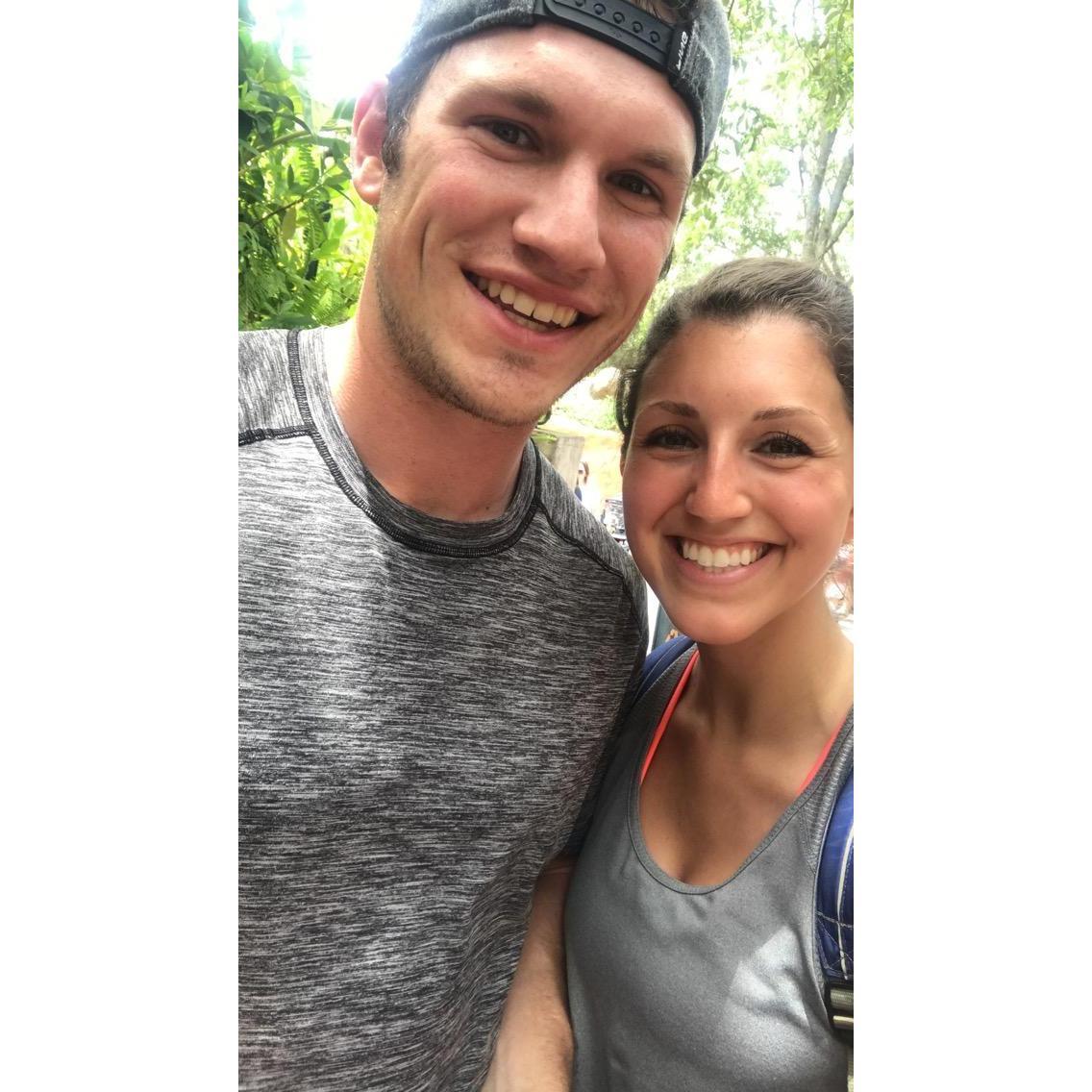 Animal Kingdom