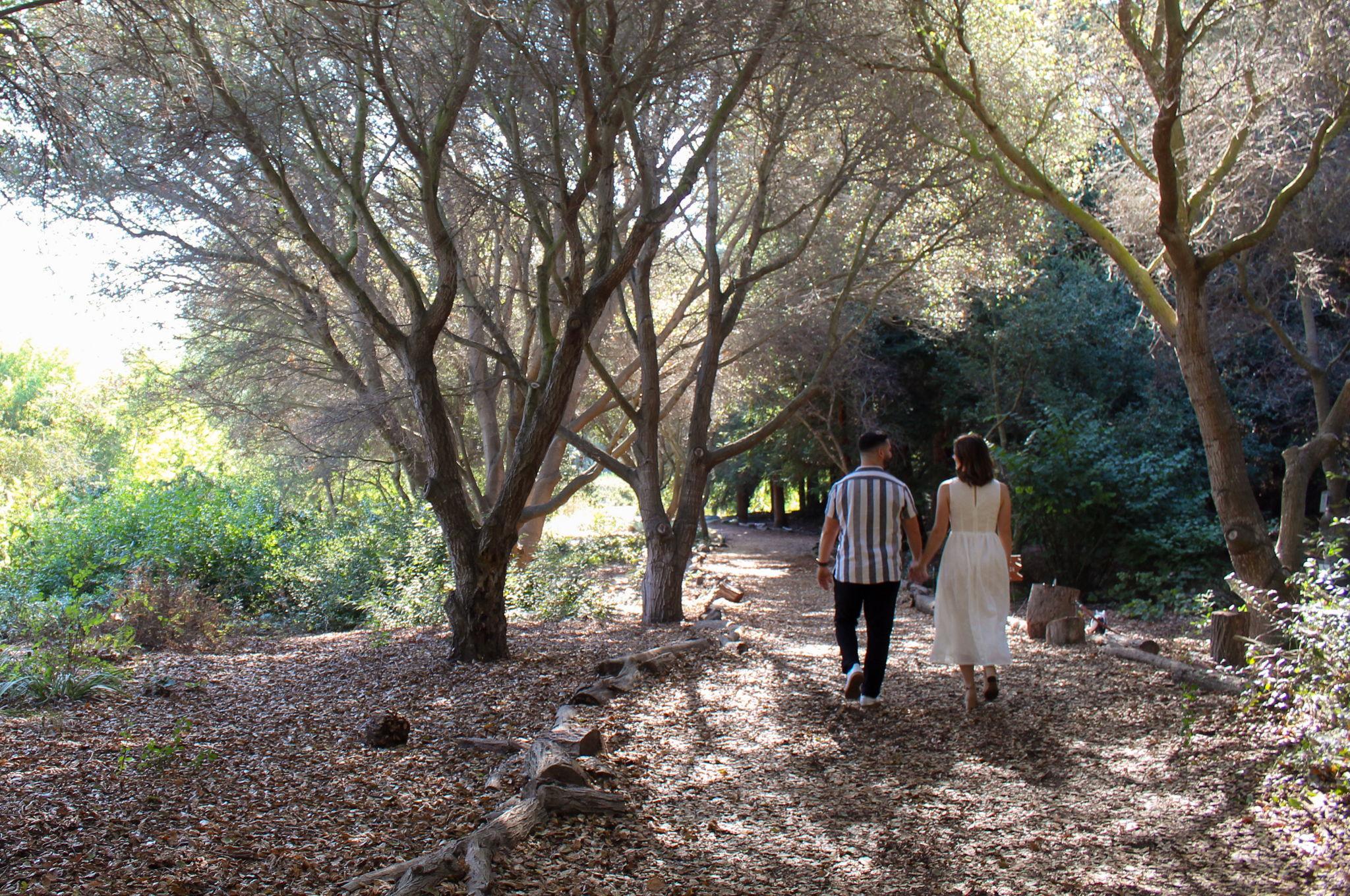 The Wedding Website of Amanda O’Connell and Carlos Torres