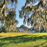 Hofwyl-Broadfield Plantation Historic Site