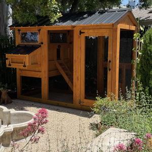 Chicken Coop