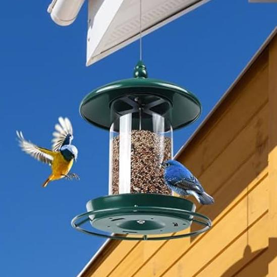 Metal Roof Bird Feeder for Outdoors - 360° Feeding Perch. Green