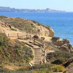 Torrey Pines State Reserve