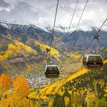 Leaf Peeping