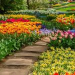 Horrocks Nursery Farms