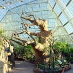 Cleveland Botanical Garden