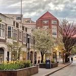 Montclair