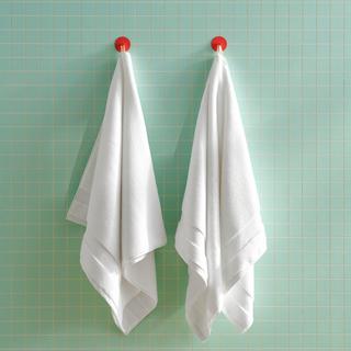 Super-Plush Turkish Cotton Bath Sheet, Set of 2