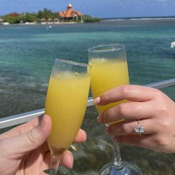 Mini-Moon: 🥂 A Toast to Forever